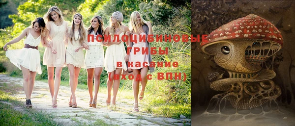 молекула духа Осинники