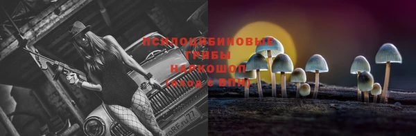 кокс Абаза