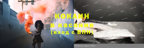 молекула духа Осинники