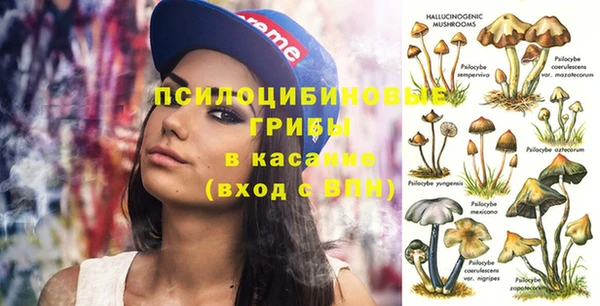 трава Алзамай