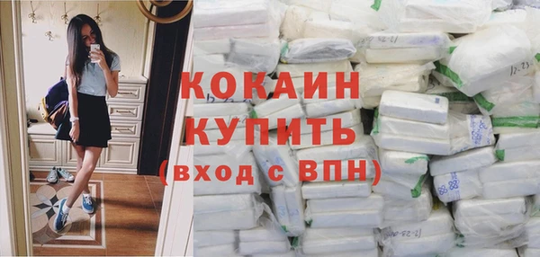 молекула духа Осинники
