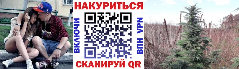 Бошки марихуана гибрид  Анадырь 